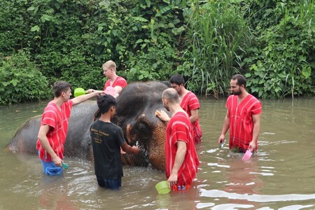 Bamboo Elephant Family Care