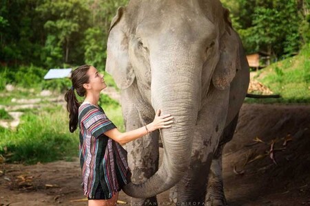 Elephant Jungle Sanctuary